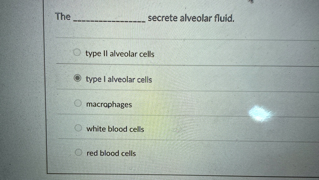 the secrete alveolar fluid type ii alveolar cells type i alveolar cells ...