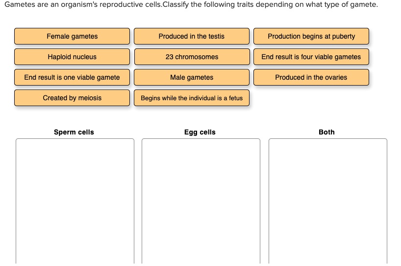 SOLVED Gametes are an organism's reproductive cells Classify the
