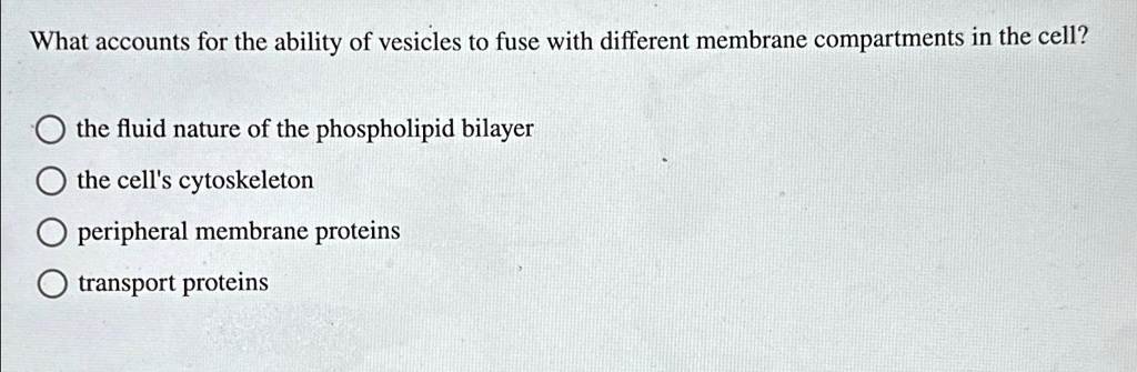 What accounts for the ability of vesicles to fuse with different membrane compartments in the cell?
the fluid nature of the phospholipid bilayer
the cell's cytoskeleton
peripheral membrane proteins
transport proteins