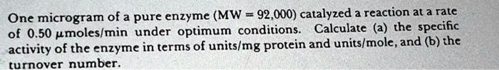 One microgram of a pure enzyme (MW = 92,000) catalyzed a reaction at a rate of 0.50 µmoles/min under optimum conditions. Calculate (a) the specific activity of the enzyme in terms of units/mg protein and units/mole, and (b) the turnover number.