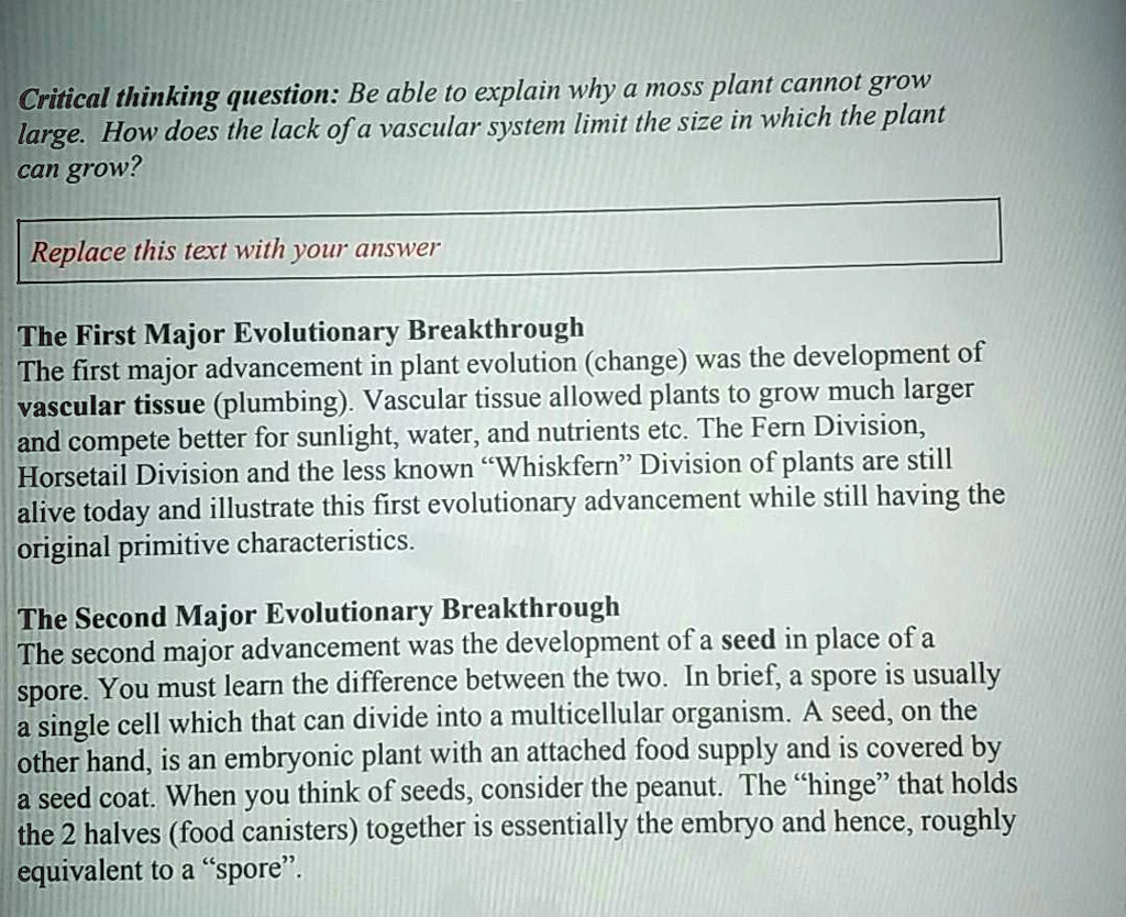 Critical thinking question: Be able to explain why a moss plant cannot grow large. How does the lack of a vascular system limit the size in which the plant can grow?

The First Major Evolutionary Breakthrough
The first major advancement in plant evolution (change) was the development of vascular tissue (plumbing). Vascular tissue allowed plants to grow much larger and compete better for sunlight, water, and nutrients etc. The Fern Division, Horsetail Division and the less known "Whiskfern" Division of plants are still alive today and illustrate this first evolutionary advancement while still having the original primitive characteristics.

The Second Major Evolutionary Breakthrough
The second major advancement was the development of a seed in place of a spore. You must learn the difference between the two. In brief, a spore is usually a single cell which that can divide into a multicellular organism. A seed, on the other hand, is an embryonic plant with an attached food supply and is covered by a seed coat. When you think of seeds, consider the peanut. The "hinge" that holds the 2 halves (food canisters) together is essentially the embryo and hence, roughly equivalent to a "spore".