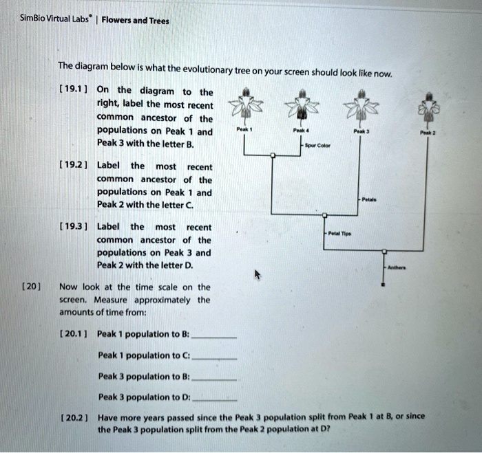 SOLVED SimBio Virtual Labs"' Flowers and Trees The diagram below what