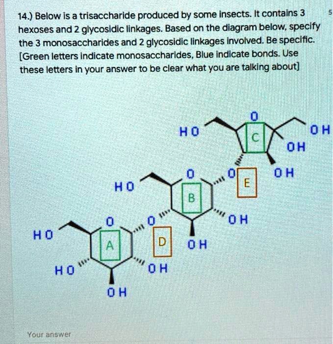 SOLVED: 14.) Below Is A Trisaccharide Produced By Some Insects It ...