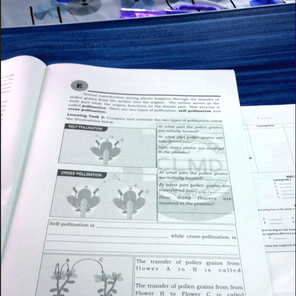 SOLVED 'Learning task 3 Compare and contrast the two types of