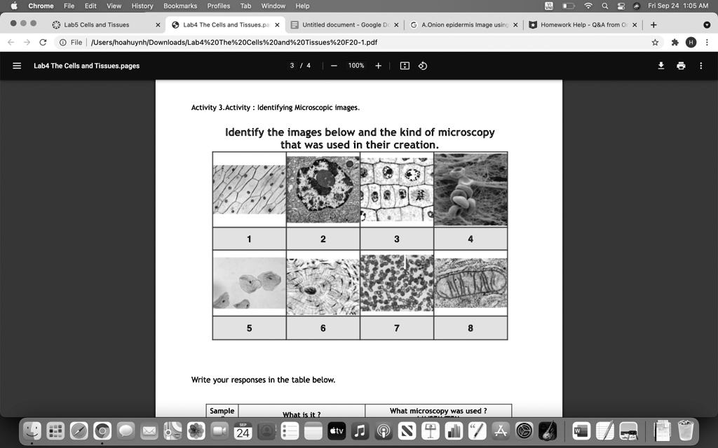 Fri Sep 24 1:05 AM Untitled document - Google Do Xx GA.Onion...