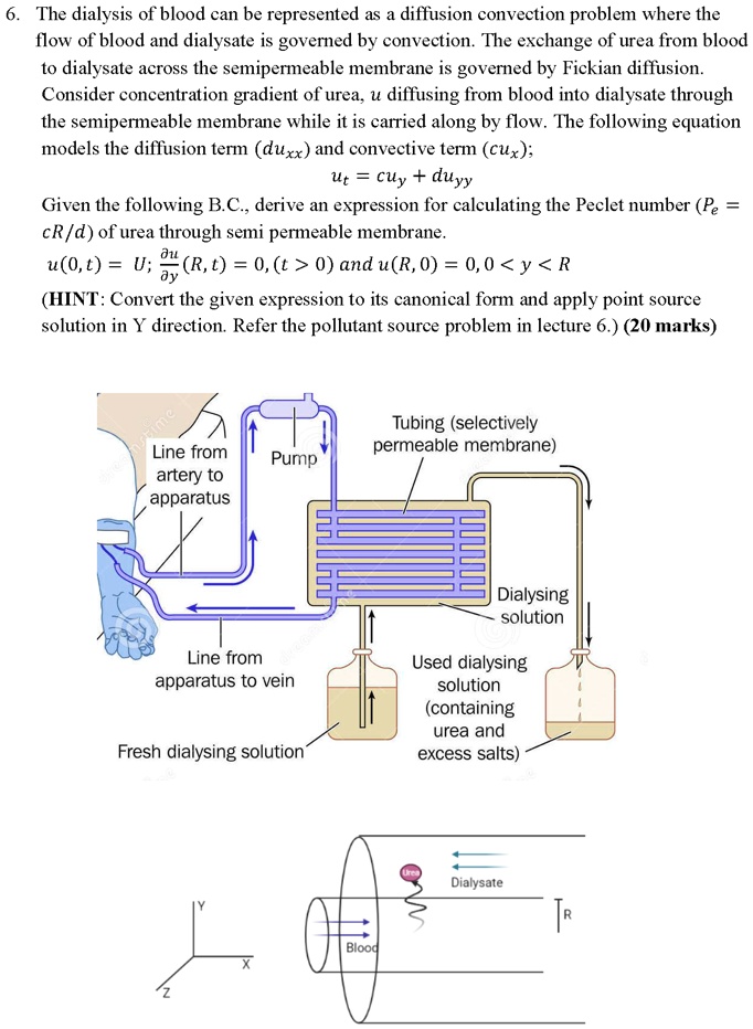 SOLVED The dialysis of blood can be represented as a diffusion