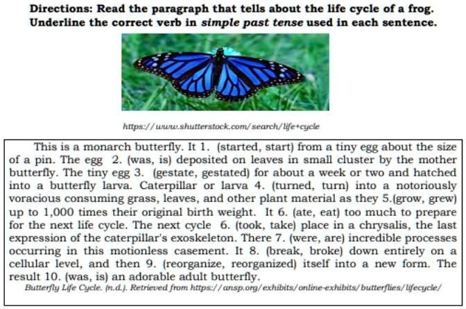 pasagot po ito ng tama at maayos salamat directions read the paragraph ...