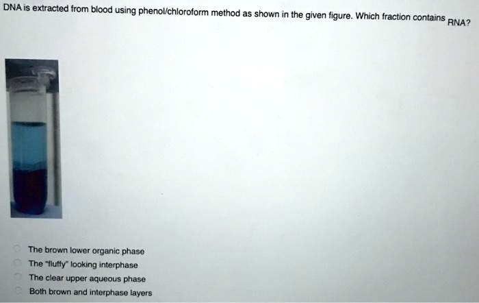 SOLVED: DNA IS extracted from blood using phenollchloroform method as ...