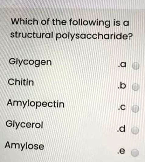 Which of the following is a structural polysaccharide?
a. Glycogen
b. Chitin
c. Amylopectin
d. Glycerol
e. Amylose