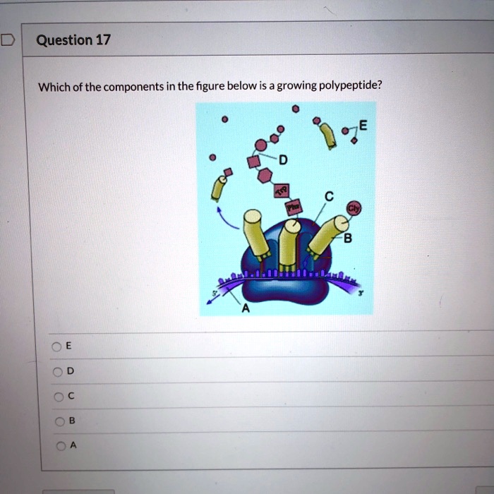SOLVED Question 17 0 Which of the components in the figure below is a