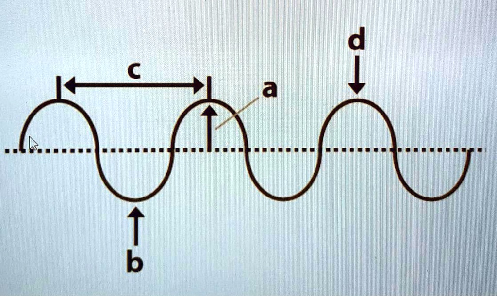 SOLVED: ' In the diagram, the amplitude of the wave is shown by: A B C ...