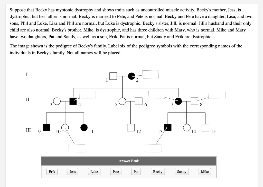 SOLVED: Suppose that Becky has myotonic dystrophy and shows traits such ...