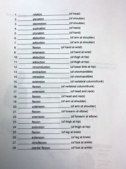 a) The abduction, adduction, flexion, extension, pronation and