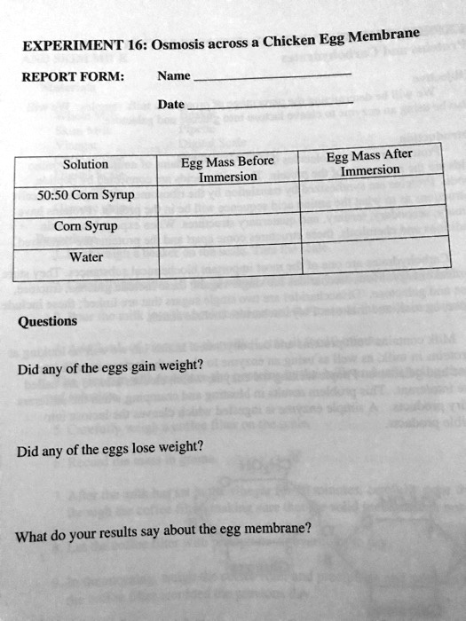 SOLVED EXPERIMENT 16 Osmosis across Chicken Egg Membrane REPORT FORM