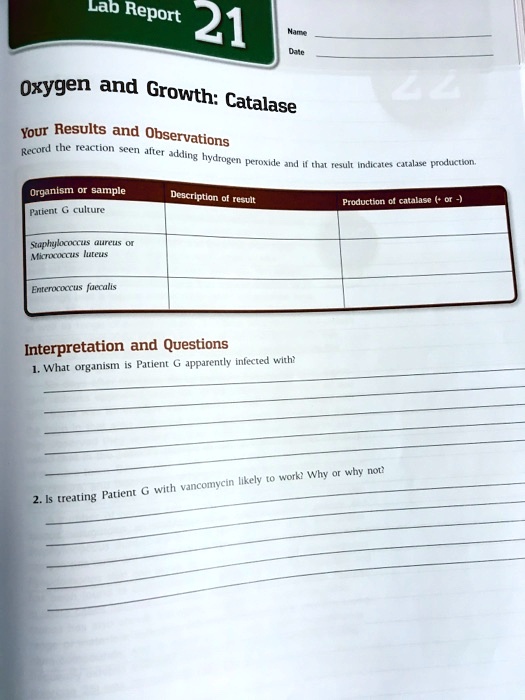 SOLVED Lab Report 21 Oxygen and Growth Catalase Your Results and