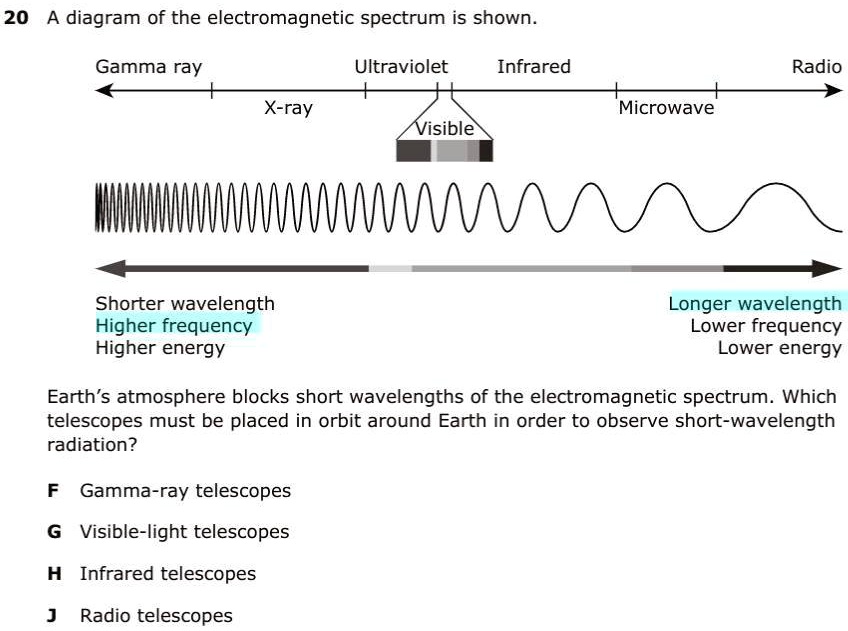 solved-please-help-will-mark-brainliest-diagram-of-the