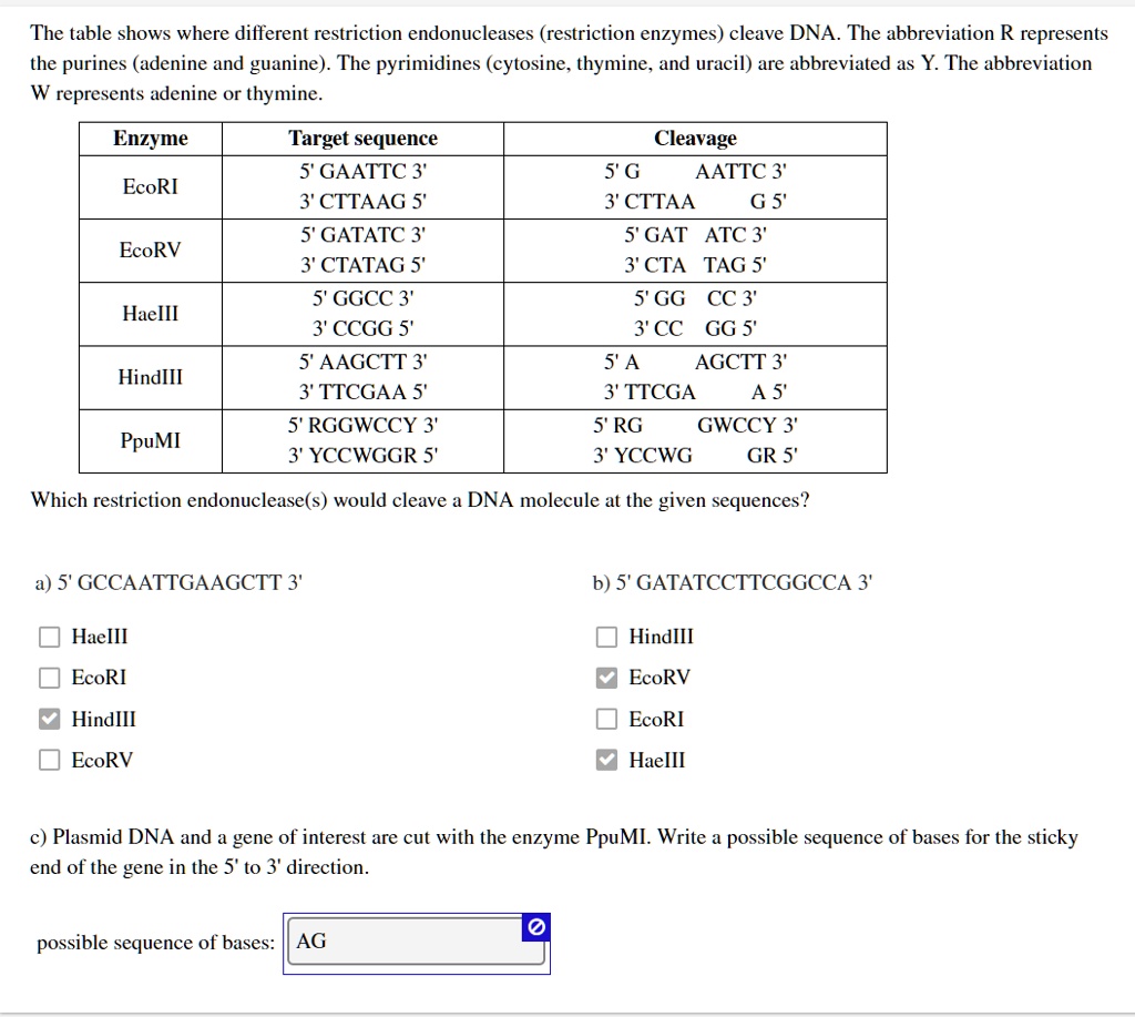 Solved The Table Shows Where Different Restriction Endonucleases Restriction Enzymes Cleave 5614