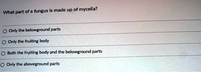 What part of a fungus is made up of mycelia?

Only the belowground parts
Only the fruiting body
Both the fruiting body and the belowground parts
Only the aboveground parts
