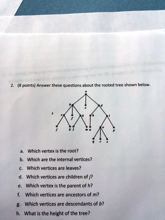 2. (8 points) Answer these questions about the rooted tree shown below.
a. Which vertex is the root?
b. Which are the internal vertices?
c. Which vertices are leaves?
d. Which vertices are children of j?
e. Which vertex is the parent of h?
f. Which vertices are ancestors of m?
g. Which vertices are descendants of b?
h. What is the height of the tree?