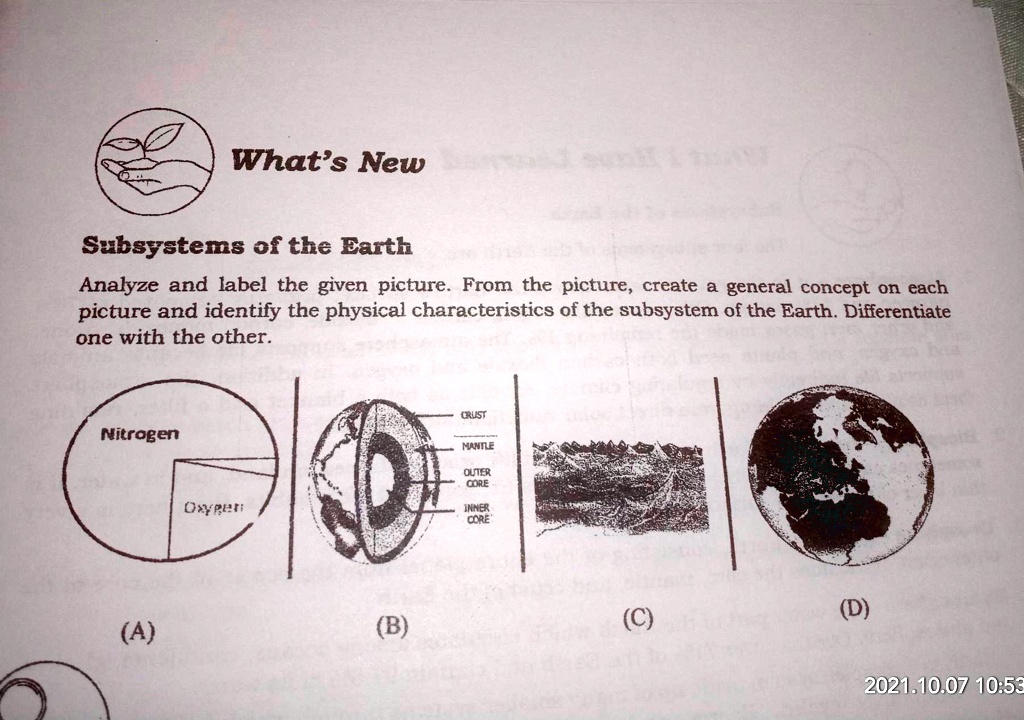 Subsystems Of The Earth Analyze And Label The Given Picture From The Picture Create A General 9020