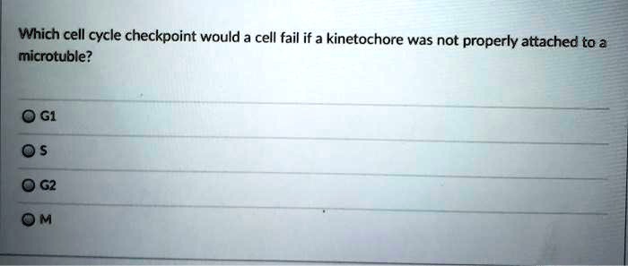 Cell Fail Which cell cycle checkpoint would a cell fail if a kinetochore was not ...
