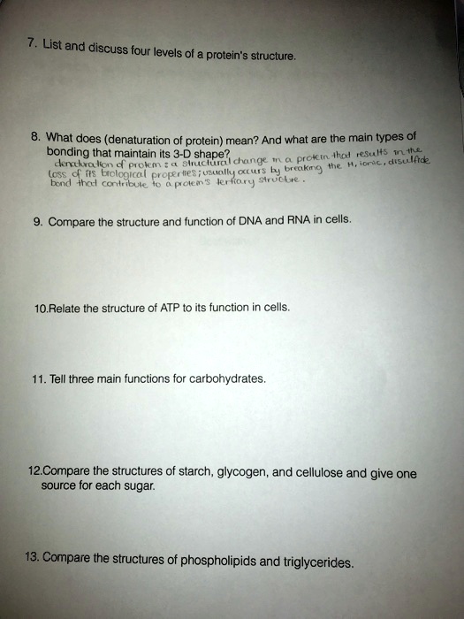SOLVED: 7 . List and discuss " four levels of protein's structure. What ...