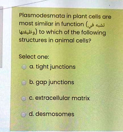 Plasmodesmata in plant cells are most similar in function (???? ?? ???????) to which of the following structures in animal cells?
Select one:
a. tight junctions
b. gap junctions
c. extracellular matrix
d. desmosomes
