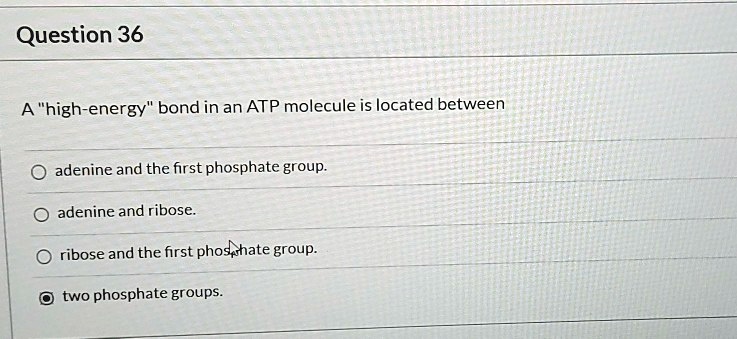 A "high-energy" bond in an ATP molecule is located between
adenine and the first phosphate group.
adenine and ribose.
ribose and the first phosphate group.
two phosphate groups.