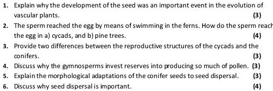 1. Explain why the development of the seed was an important event in the evolution of vascular plants. (3)
2. The sperm reached the egg by means of swimming in the ferns. How do the sperm reach the egg in a) cycads, and b) pine trees. (4)
3. Provide two differences between the reproductive structures of the cycads and the conifers. (3)
4. Discuss why the gymnosperms invest reserves into producing so much of pollen. (3)
5. Explain the morphological adaptations of the conifer seeds to seed dispersal. (3)
6. Discuss why seed dispersal is important. (4)