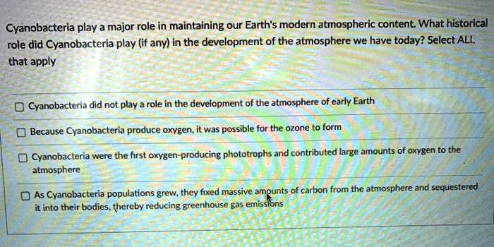 Cyanobacteria play a major role in maintaining our Earth's modern atmospheric content. What historical role did Cyanobacteria play (if any) in the development of the atmosphere we have today? Select ALL that apply

Cyanobacteria did not play a role in the development of the atmosphere of early Earth
Because Cyanobacteria produce oxygen, it was possible for the ozone to form
Cyanobacteria were the first oxygen-producing phototrophs and contributed large amounts of oxygen to the atmosphere
As Cyanobacteria populations grew, they fixed massive amounts of carbon from the atmosphere and sequestered it into their bodies, thereby reducing greenhouse gas emissions