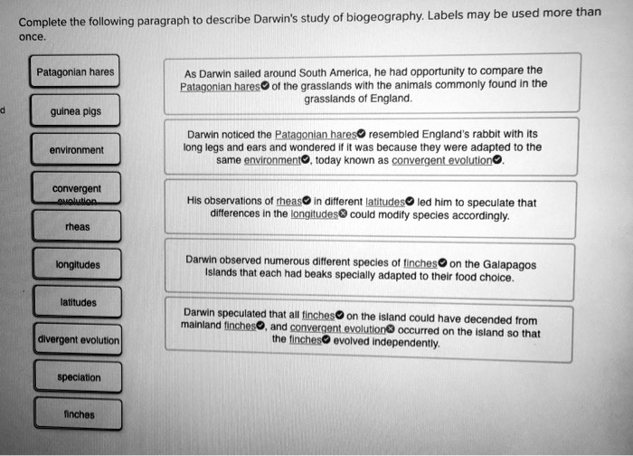 Complete the following paragraph to describe Darwin's study of biogeography. Labels may be used more than once.

Patagonian hares
guinea pigs
environment
convergent evolution
rheas
longitudes
latitudes
divergent evolution
speciation
finches

As Darwin sailed around South America, he had opportunity to compare the Patagonian hares of the grasslands with the animals commonly found in the grasslands of England.

Darwin noticed the Patagonian hares resembled England's rabbit with its long legs and ears and wondered if it was because they were adapted to the same environment, today known as convergent evolution.

His observations of rheas in different latitudes led him to speculate that differences in the longitudes could modify species accordingly.

Darwin observed numerous different species of finches on the Galapagos Islands that each had beaks specially adapted to their food choice.

Darwin speculated that all finches on the island could have decended from mainland finches, and convergent evolution occurred on the island so that the finches evolved independently.