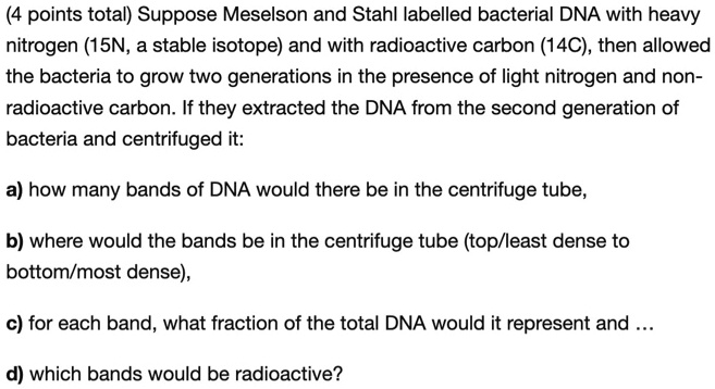 Suppose Meselson and Stahl labelled bacterial DNA with heavy nitrogen (15N, a stable isotope) and with radioactive carbon (14C), then allowed the bacteria to grow two generations in the presence of light nitrogen and non-radioactive carbon. If they extracted the DNA from the second generation of bacteria and centrifuged it:

a) how many bands of DNA would there be in the centrifuge tube,

b) where would the bands be in the centrifuge tube (top/least dense to bottom/most dense),

c) for each band, what fraction of the total DNA would it represent and ...

d) which bands would be radioactive?