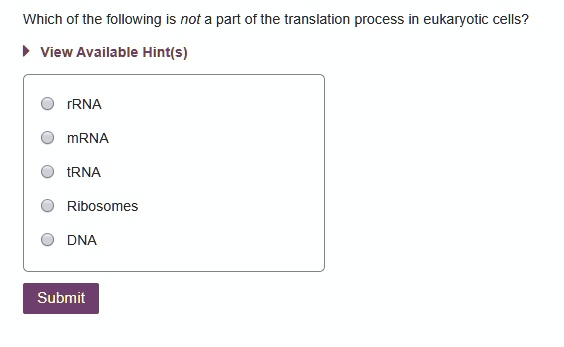 Which of the following is not a part of the translation process in eukaryotic cells?
rRNA
mRNA
tRNA
Ribosomes
DNA