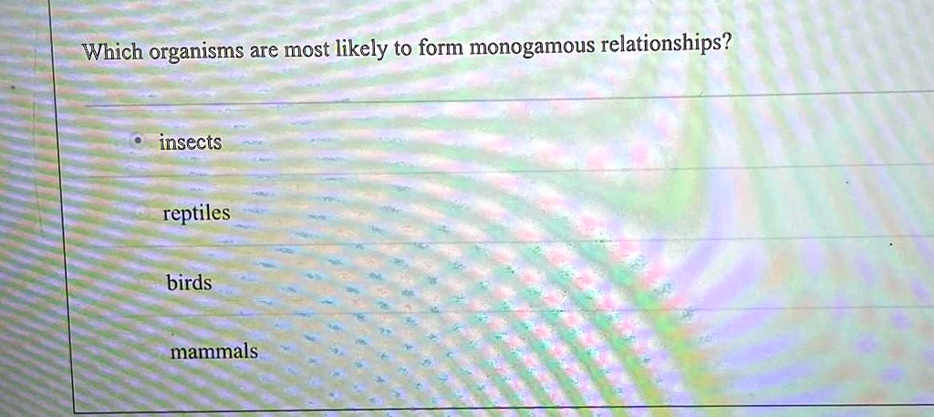 Which organisms are most likely to form monogamous relationships?
insects
reptiles
birds
mammals