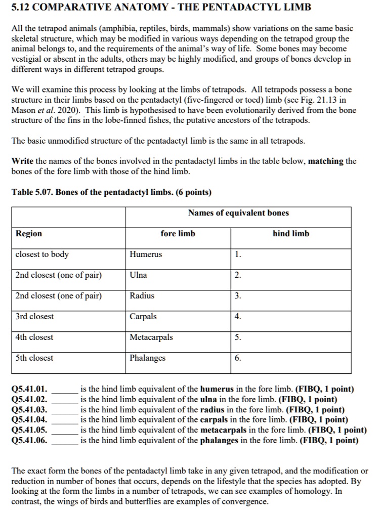 SOLVED: 5.12 COMPARATIVE ANATOMY: THE PENTADACTYL LIMB All tetrapod