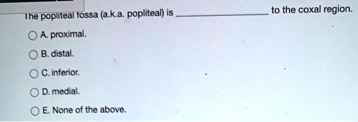 The popliteal fossa (a.k.a. popliteal) is  to the coxal region.

A. proximal.
B. distal.
C. inferior.
D. medial.
E. None of the above.