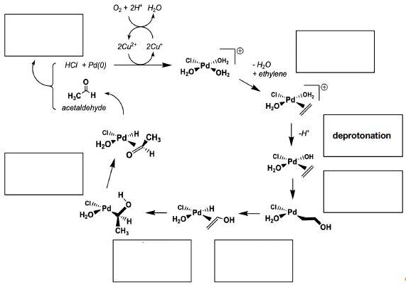 SOLVED: Shown below is a catalytic cycle for the oxidation of ethylene ...