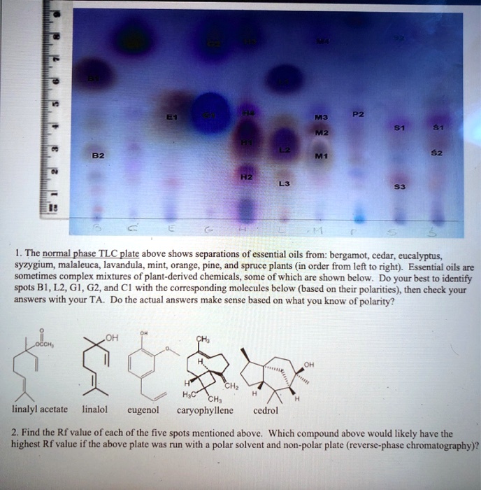 the-normal-phase-tlc-plate-above-shows-separations-essential-oils-from