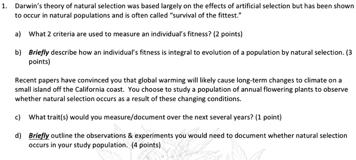 explain darwin's theory of natural selection