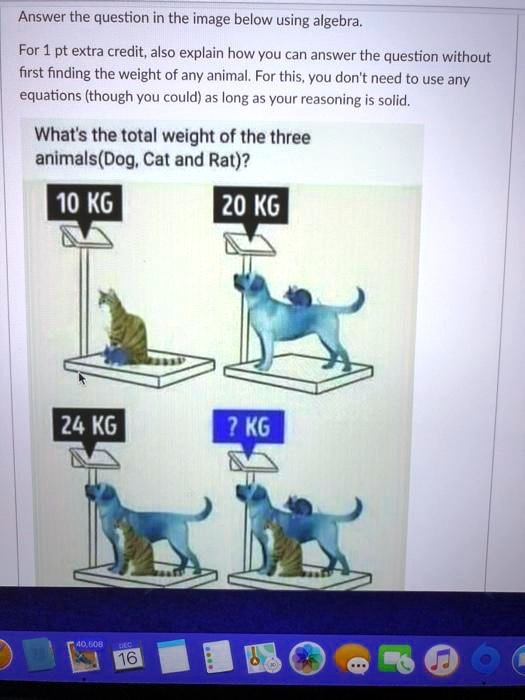 Answer the question in the image below using algebra.
For 1 pt extra credit, also explain how you can answer the question without
first finding the weight of any animal. For this, you don't need to use any
equations (though you could) as long as your reasoning is solid.
What's the total weight of the three
animals(Dog, Cat and Rat)?
10 KG
20 KG
24 KG
? KG