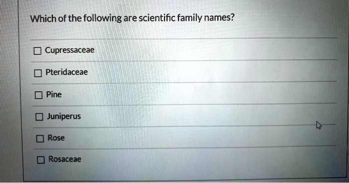 Which of the following are scientific family names?

Cupressaceae
Pteridaceae
Pine
Juniperus
Rose
Rosaceae