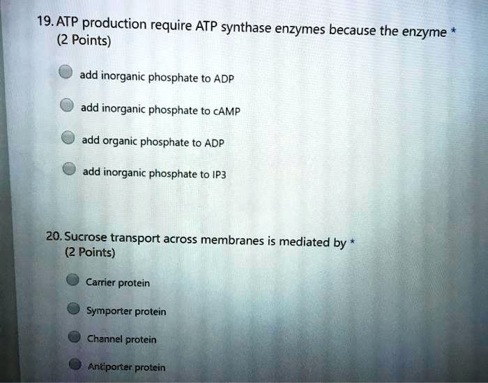 19atp production require atp synthase enzymes because the 2 points