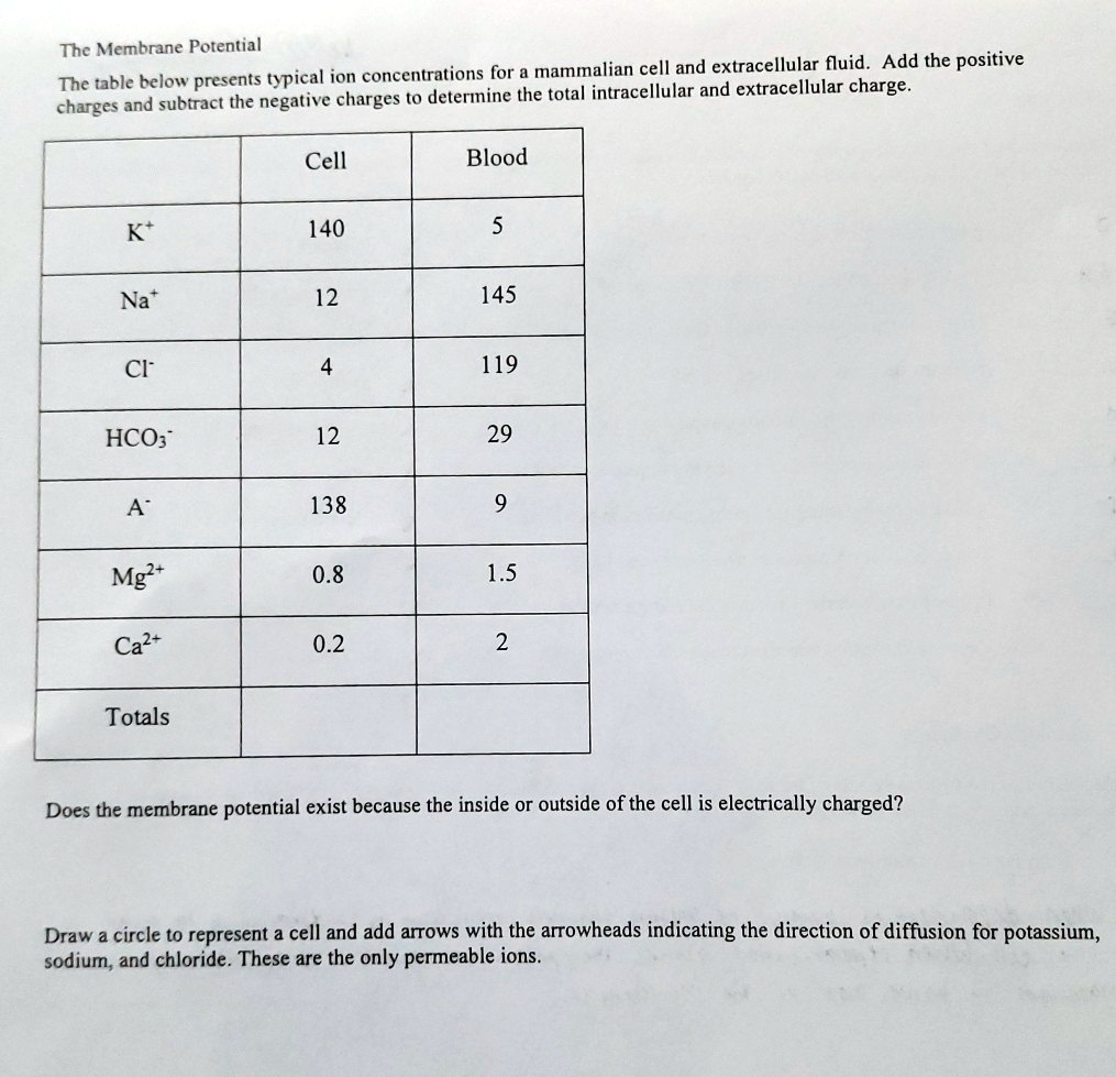 The Membrane Potential
The table below presents typical ion concentrations for a mammalian cell and extracellular fluid. Add the positive
charges and subtract the negative charges to determine the total intracellular and extracellular charge.
| | Cell | Blood |
|—|—|—|
| K+ | 140 | 5 |
| Na+ | 12 | 145 |
| Cl- | 4 | 119 |
| HCO3- | 12 | 29 |
| A- | 138 | 9 |
| Mg2+ | 0.8 | 1.5 |
| Ca2+ | 0.2 | 2 |
| Totals | | |
Does the membrane potential exist because the inside or outside of the cell is electrically charged?
Draw a circle to represent a cell and add arrows with the arrowheads indicating the direction of diffusion for potassium,
sodium, and chloride. These are the only permeable ions.