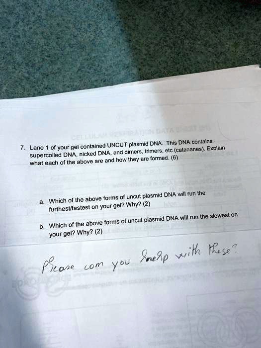 SOLVED contained UNCUT plasmid DNA Thls DNA contains Lane of your gei