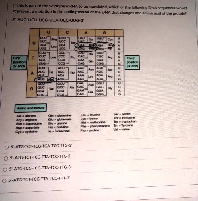 If this is part of the wildtype mRNA to be translated, which of the following DNA sequences would represent a mutation in the coding strand of the DNA that changes one amino acid of the protein?

5'-AUG-UCU-UCG-UUA-UCC-UUG-3'

First position (5' end)
U C A G
U UUU Phe UCU Ser UAU Tyr UGU Cys U
UUC UCC UAC UGC C
UUA Leu UCA UAA Stop UGA Stop A
UUG UCG UAG Stop UGG Trp G
C CUU Leu CCU Pro CAU His CGU Arg U
CUC CCC CAC CGC C
CUA CCA CAA Gln CGA A
CUG CCG CAG CGG G
A AUU Ile ACU Thr AAU Asn AGU Ser U
AUC ACC AAC AGC C
AUA ACA AAA Lys AGA Arg A
AUG Met ACG AAG AGG G
G GUU Val GCU Ala GAU Asp GGU Gly U
GUC GCC GAC GGC C
GUA GCA GAA Glu GGA A
GUG GCG GAG GGG G
Third position (3' end)

Amino acid names
Ala = alanine Gln = glutamine Leu = leucine Ser = serine
Arg = arginine Glu = glutamate Lys = lysine Thr = threonine
Asn = asparagine Gly = glycine Met = methionine Trp = tryptophan
Asp = aspartate His = histidine Phe = phenylalanine Tyr = Tyrosine
Cys = cysteine Ile = isoleucine Pro = proline Val = valine

5'-ATG-TCT-TCG-TGA-TCC-TTG-3'
5'-ATG-TCT-TCG-TTA-TCC-TTG-3'
5'-ATG-TCC-TCG-TTA-TCC-TTG-3'
5'-ATG-TCT-TCG-TTA-TCC-TTT-3'