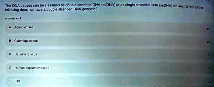 The DNA viruses can be classified as double stranded DNA (dsDNA) or as single stranded DNA (ssDNA) viruses. Which of the
following does not have a double stranded DNA genome?
Answers A - E
A Adenoviruses
B Cytomegalovirus
C Hepatitis B virus
D Human papilomavirus-16
E B19