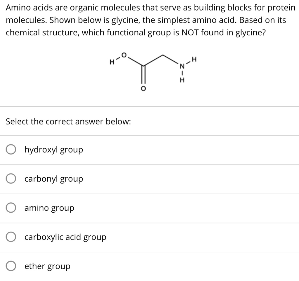 SOLVED Amino acids are organic molecules that serve as building blocks