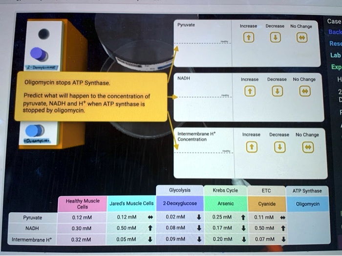 SOLVED: Enne Hncnene Jacrcuto No Cnant Case Back Rese Lab Exp Nadh ...