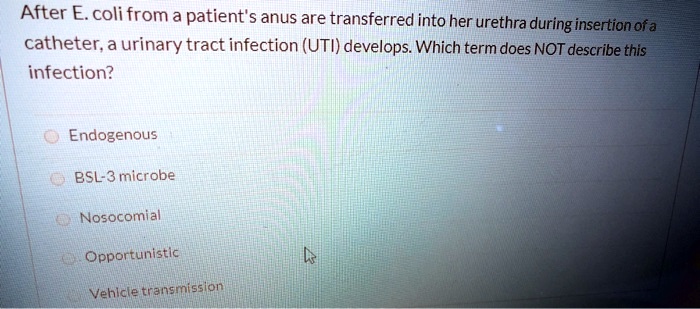 SOLVED: After E. coli from the patient's anus are transferred into her ...