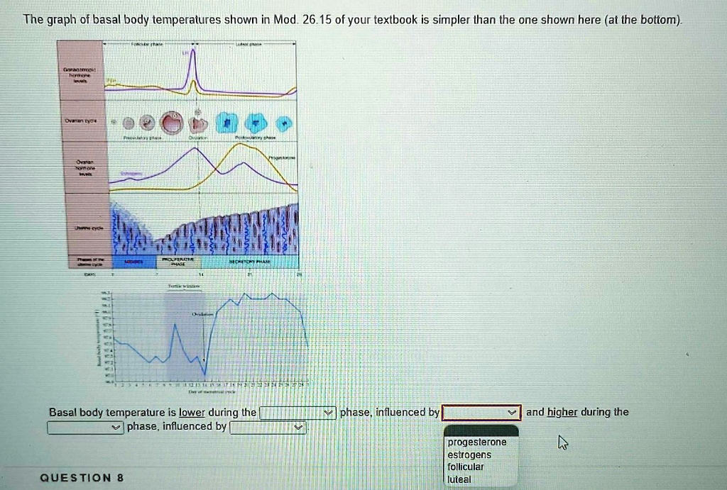 SOLVED Texts Reproductive system The graph of basal body temperatures